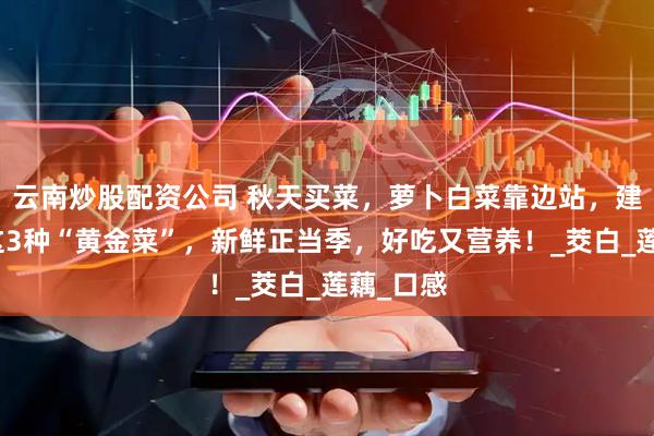 云南炒股配资公司 秋天买菜，萝卜白菜靠边站，建议多吃这3种“黄金菜”，新鲜正当季，好吃又营养！_茭白_莲藕_口感